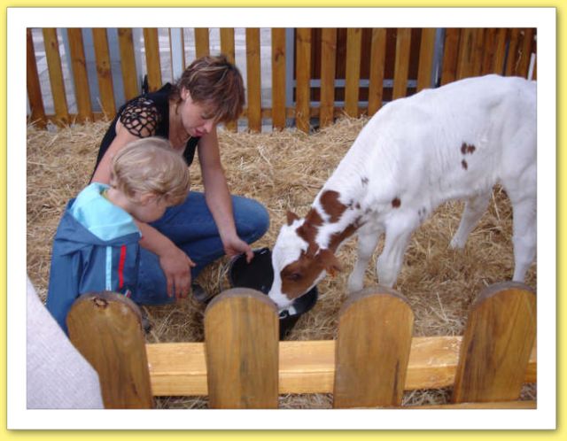 Ferme Animation Exposition Sortie Enfants Hot Sex Picture