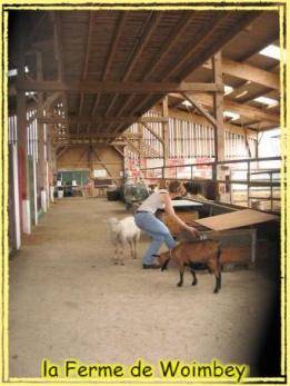 Ferme éducative pour enfants Ferme éducative pour enfants