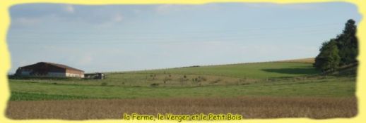 Le verger pédagogique Le verger pédagogique